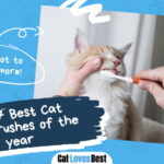 Best Cat Toothbrush