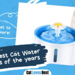 Best Cat Water Fountain