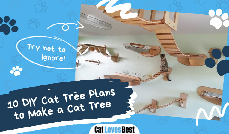 DIY Cat Tree Plans