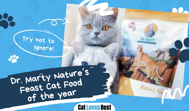 Dr Marty Natures Feast Cat Food