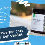 Nutra Thrive For Cats