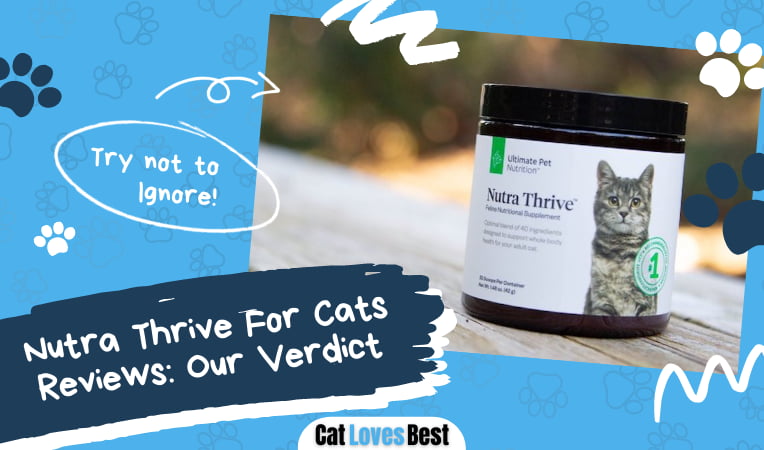 Nutra Thrive For Cats