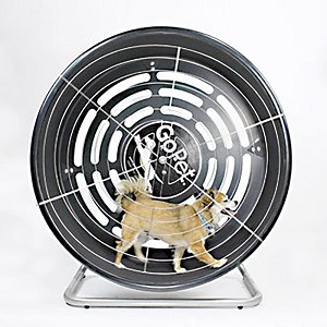 GoPet Treadwheel ToySmall Cat Exercise Wheel