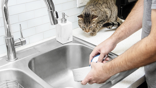 How to wash cat bowls? 