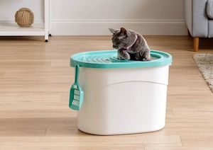 Top entry cat litter box 