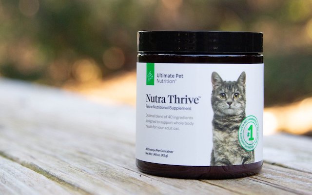 ultimate pet nutrition nutra thrive for cats