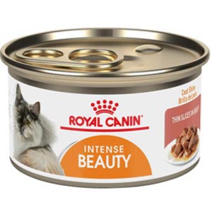 Royal Canin Feline Care Nutrition Canned Cat Food