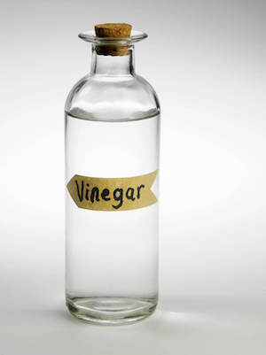 White Vinegar can be used to clean your cat's bed