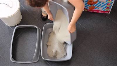 change the entire litter once a week to clean a litter box