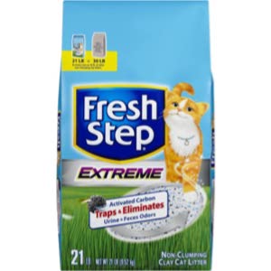 Best Non-Clumping Cat Litter