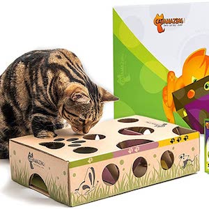 Cat Amazing Interactive Treat Maze & Puzzle Feeder for Cats