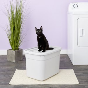 Clevercat Premium Top Entry Litter Box