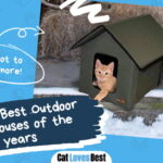 Best Outdoor Cat House