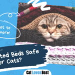 Heated Beds Safe for Cats