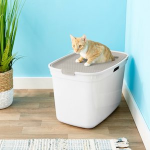 Frisco Top Entry Cat Litter Box