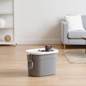 Best Top Entry Cat Litter Box