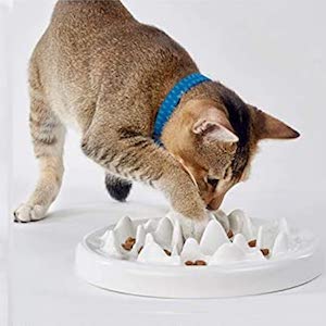 Against Bloat DotPet Cats Slow Feeder Bowl Unique Fish-Bone Fun Interactive Design Ceramic Cat Dog Anti-Gulping Healthy Eating Diet Slow Feeder Ceramic Cat Bowl Indigestion and Obesity 