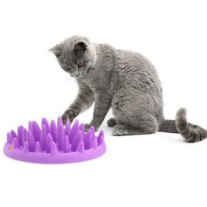 Northmate Catch Interactive Cat Feeder