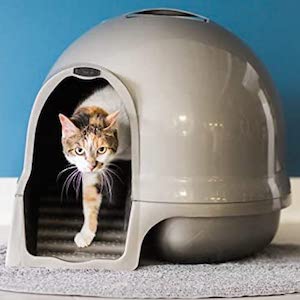 Petmate Booda Dome Clean Step Cat Litter Box