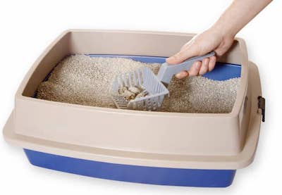 Scooping Waste from Litter Box