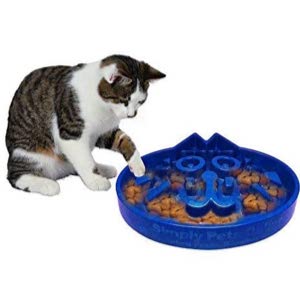 Simply Pets Online Slow Feed Cat Bowl