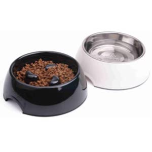 Super Design Anti-Gulping Bowl Slow Feeder