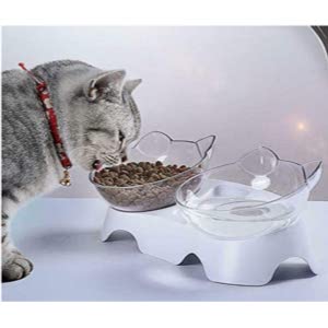 Best Anti Vomit Cat Bowls