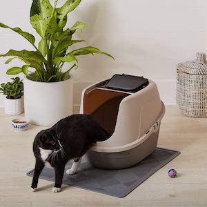 Best Covered Cat Litter Boxes