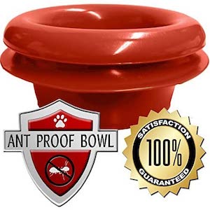 Best Ant Proof Cat Bowls