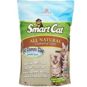 Best Cat Litter for Kittens