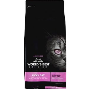 best corn cat litter