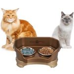 basis dog bowl stand Rise Pet Bowl Stand, For Medium Dog Bowls (bowls sold separately)