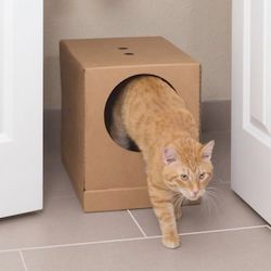 Disposable Travel Cat Litter Box