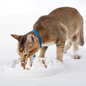 DotPet Slow Feeder Cat Bowl