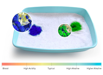 How Does PrettyLitter Cat Litter Work? 