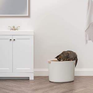 IRIS Premium Top Entry Covered Cat Litter Box