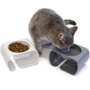Kitty City Raised Cat Food Bowl Stress Free Feeder