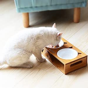 Lepet Elevated Cat Bowls