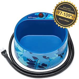 cat toys in water bowl