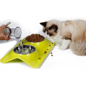 UPSKY Double Cat Bowls Premium Stainless Steel