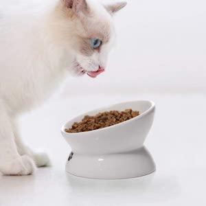 Y YHY Ceramic Anti Vomit Cat Bowls