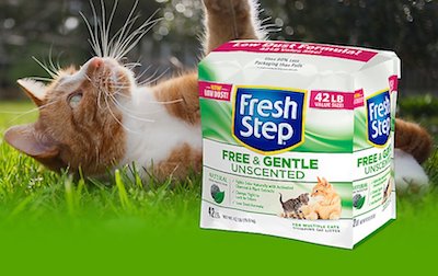 Fresh Step Cat Litter Is it worth it