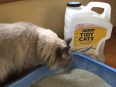 Purina Tidy Cats Clumping Cat Litter, Is it Effective? 