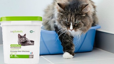 So Phresh Cat Litter Reviews 