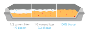 How To Transition to Okocat Litter?