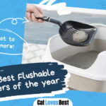 Best Flushable Cat Litters