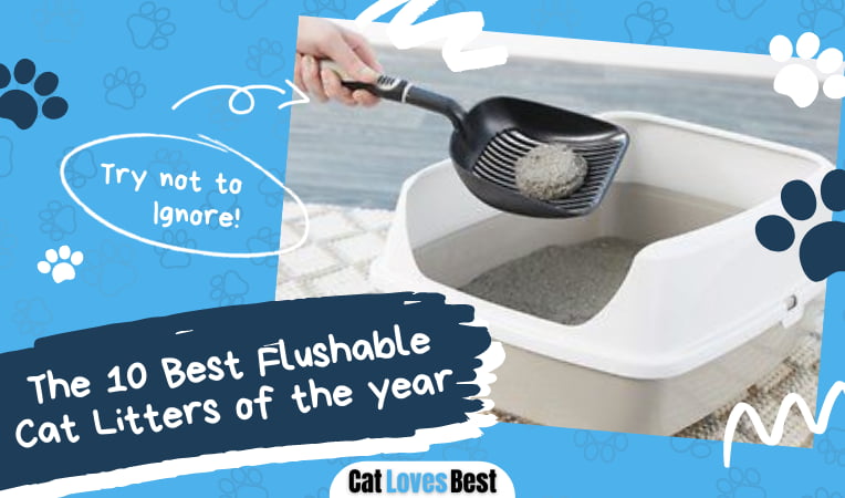 Best Flushable Cat Litters