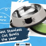 Best Stainless Steel Cat Bowls