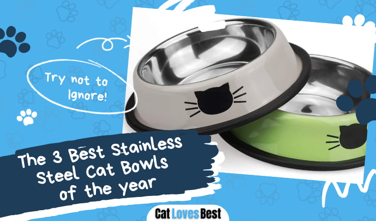 Best Stainless Steel Cat Bowls