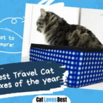 Best Travel Cat Litter Boxes
